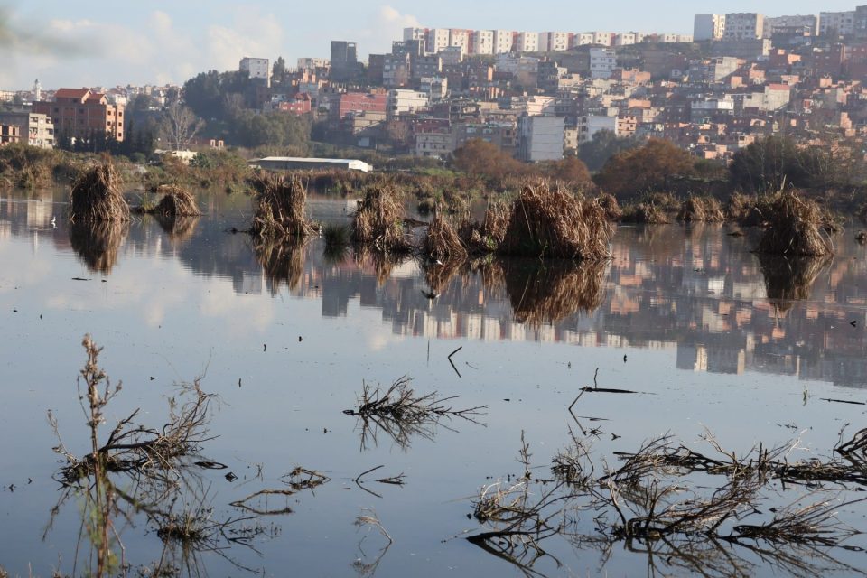 المناطق الرطبة عنابة